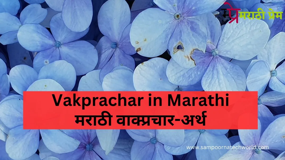 Vakprachar in Marathi