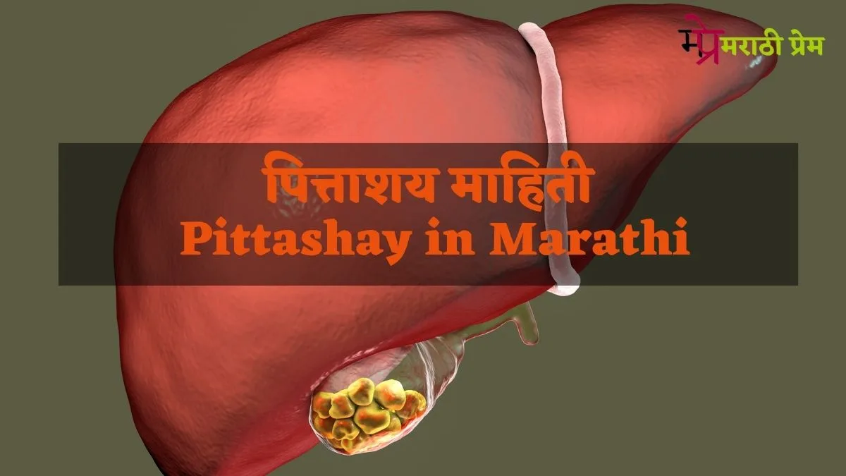 Pittashay in Marathi